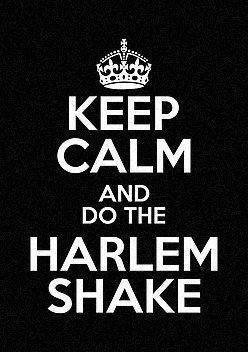 Keep Calm And Do The Harlem Shake (Foto: Redbubble.com)