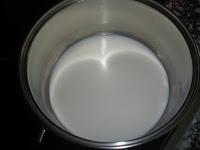 Danoninos de fresa caseros