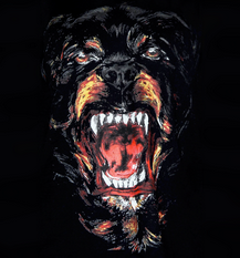 Givenchy's details Fall/Winter 2013-14*by Ricardo Tisci