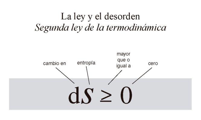 Las 17 Ecuaciones que cambiaron el Mundo