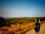 Camino de Santiago