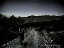 Camino de Santiago