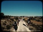 Camino de Santiago