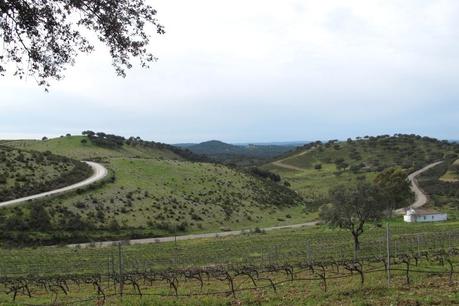 Las colinas de Colonias de Galeón