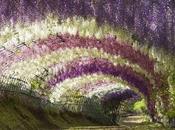 Echar flores…