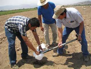 En Cañete: GORE LIMA LANZA PROGRAMA DE ANÁLISIS DE SUELO GRATUITO...