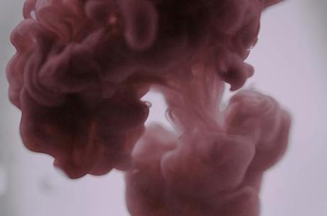 ROSE REVIVAL Y LA BELLEZA DE &OTHER; STORIES, ROSE REVIVAL Y LA BELLEZA DE &OTHER; STORIES,