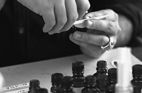 ROSE REVIVAL Y LA BELLEZA DE &OTHER; STORIES, ROSE REVIVAL Y LA BELLEZA DE &OTHER; STORIES,