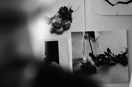 ROSE REVIVAL Y LA BELLEZA DE &OTHER; STORIES, ROSE REVIVAL Y LA BELLEZA DE &OTHER; STORIES,