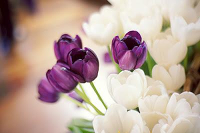 Soñando con la primavera