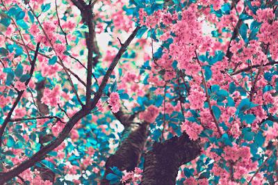 Soñando con la primavera