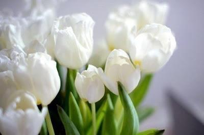 Soñando con la primavera