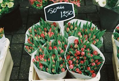 Soñando con la primavera