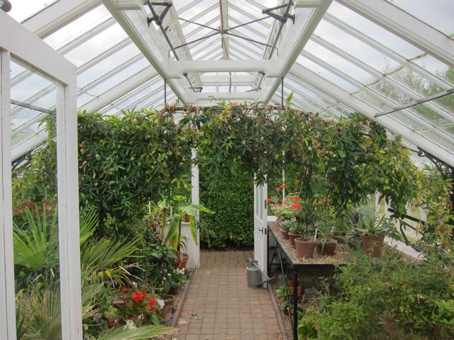 Greenhouse garden