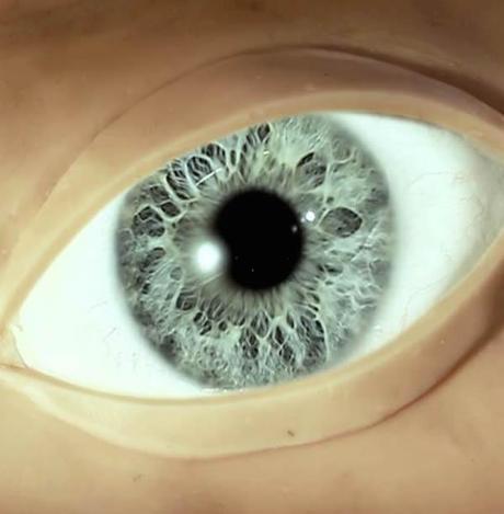 Slow Derek :: viernes vídeo