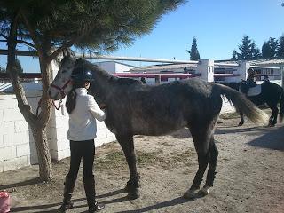 S.HA ESTADO ALLI: CENTRO ECUESTRE SAN MIGUEL