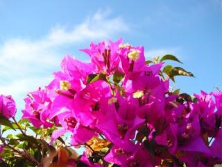 Cómo ser una mujer inolvidable y especial