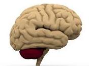 Vitaminas para cerebro