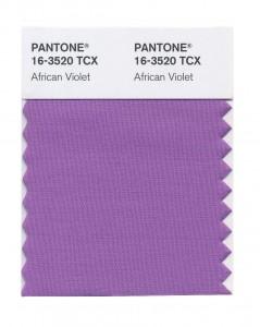 Pantones 2013: Hoy, African Violet