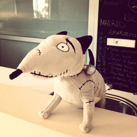 Disneyland Paris #Photos