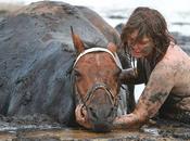 Valiente madre lucho para mantener varias horas caballo atrapado barro