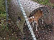 Lleva vida miseria, sonrie, ayudas hacer realidad sueño