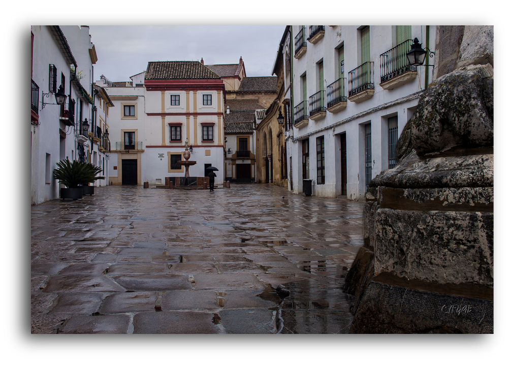 Plaza del Potro