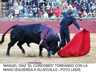 FESTIVAL DEL CÁNCER EN CÓRDOBA: DIEGO  VENTURA  SE LLEVÓ EL TRIUNFO.... EL RESTO DE LA TERNA CUMPLIO