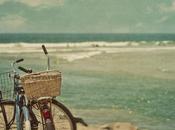 teoría segundo plato entrega)