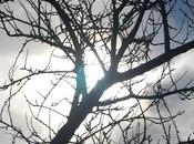 siempre hacer buen tiempo