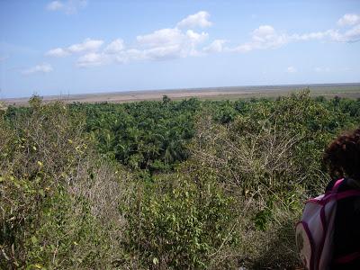 Un paraiso en la llanura de Jumagüa