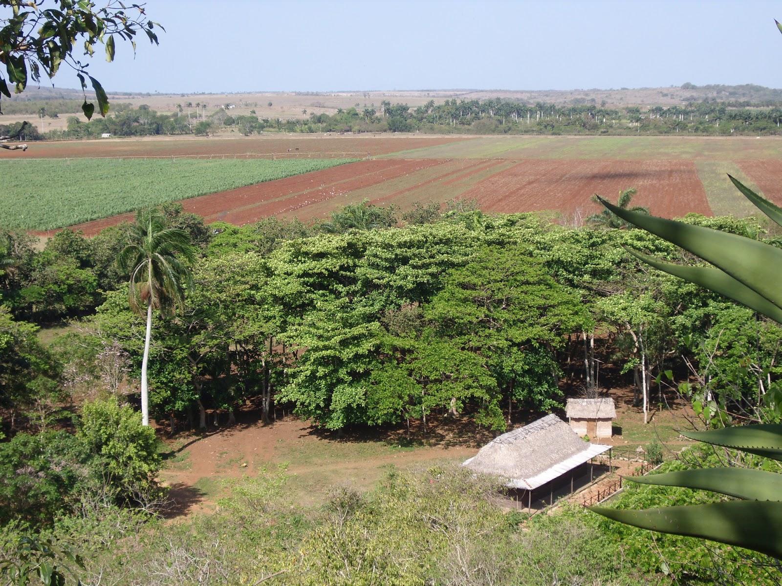 Un paraiso en la llanura de Jumagüa