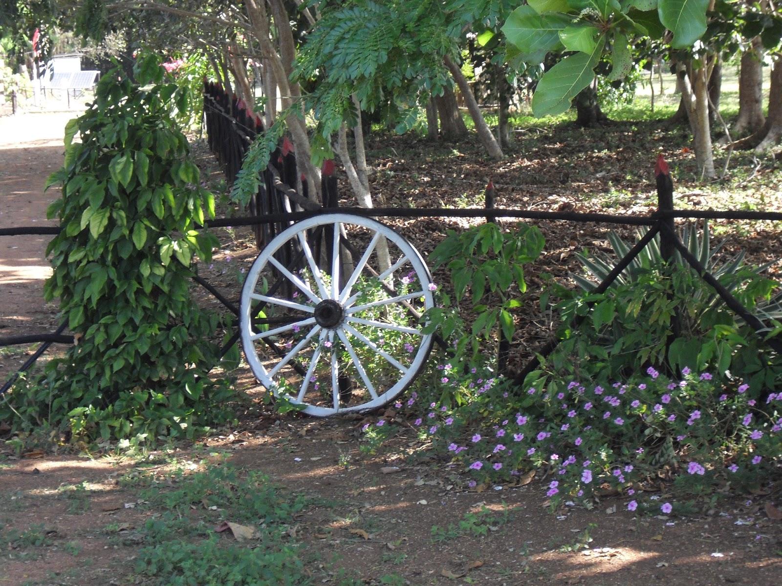 Un paraiso en la llanura de Jumagüa