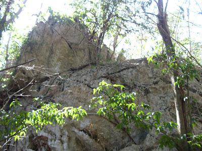 Un paraiso en la llanura de Jumagüa