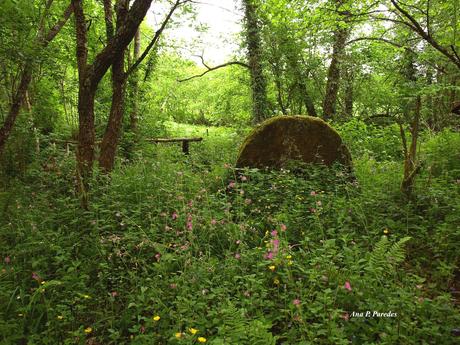 MASONERÏA EN CABRANES (II)