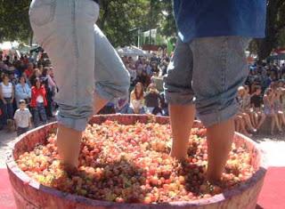 XI FESTIVAL DE LA VENDIMIA EN LA  CAPITAL DEL VINO Y BUEN PISCO… Santa Cruz de Flores Te Espera