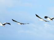 walk park-Un paseo parque