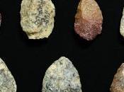 pasado viajero antecesores humano