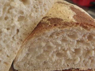 XXXII. PANES FÁCILES Y RICOS