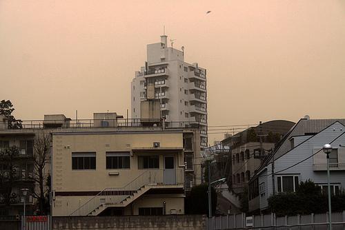 Tormenta arena Tokyo 2013