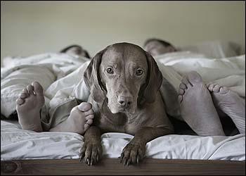 ¿Qué es el verdadero descanso?