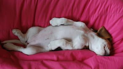 ¿Qué es el verdadero descanso?