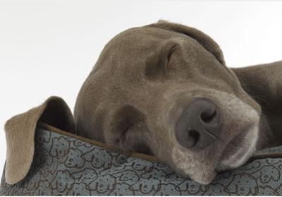 ¿Qué es el verdadero descanso?