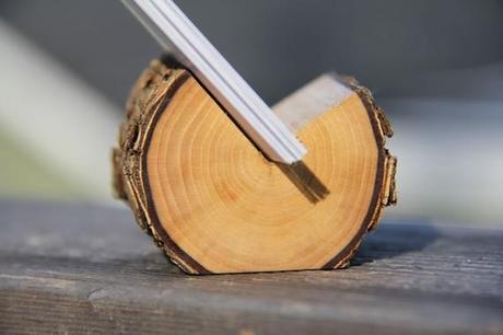 Troncos dentro de casa