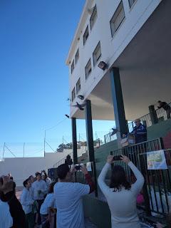 ASÍ CELEBRAMOS EL DÍA DE LA PAZ EN NUESTRO COLE