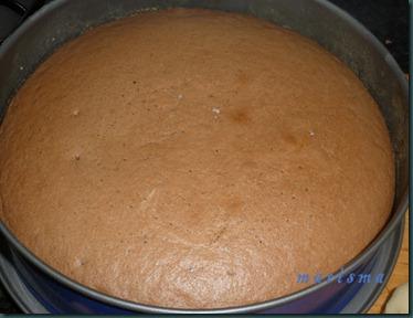 tarta marditos roedores8 copia