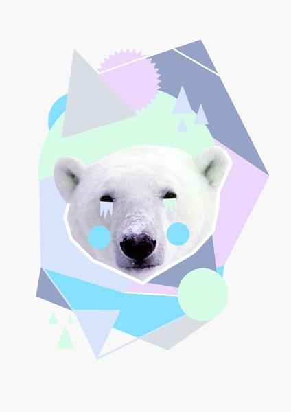 Si me sigues te sigo!