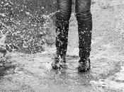 LINE adelantado WhatsApp