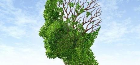 Un ambiente estimulante podría retrasar los efectos del Alzheimer