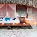 Nos vamos de boda con Calista!